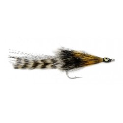 Cockroach with Eye - 1
