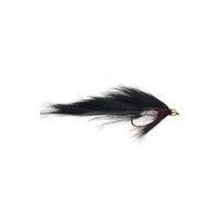BH Zonker Black Bright - 1