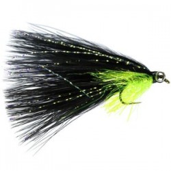Black Cats Whisker - 1