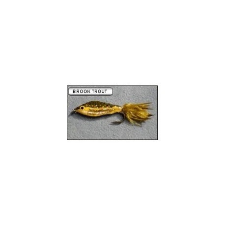 Brook Trout - 1