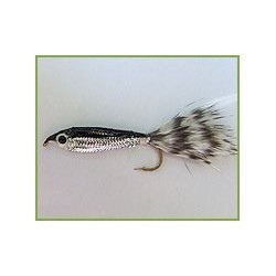 Grizzly Tail - 1
