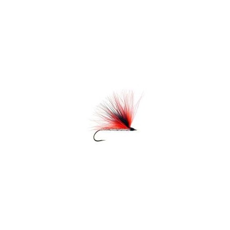 Mickey Finn Red Black - 1