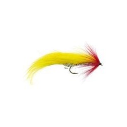 Yellow Red Zonker - 1