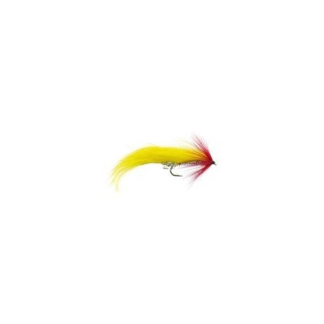 Yellow Red Zonker - 1