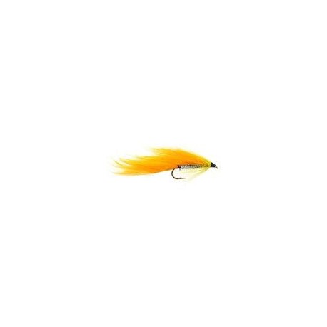 Zonker Orange - 1