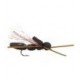 Cicada - 1