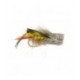 Dave's Hopper - 1