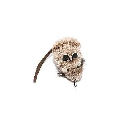 Cat Catcher
