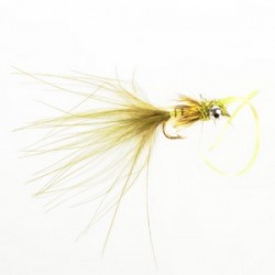 Kicking Damsel Olive